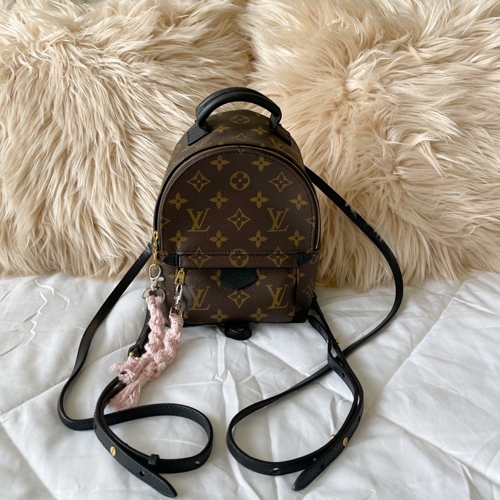 LV Louis Vuitton Palm Springs Mini ♥️